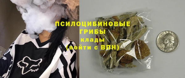 дурь Аркадак