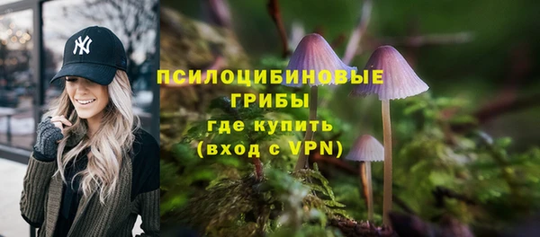 дурь Аркадак